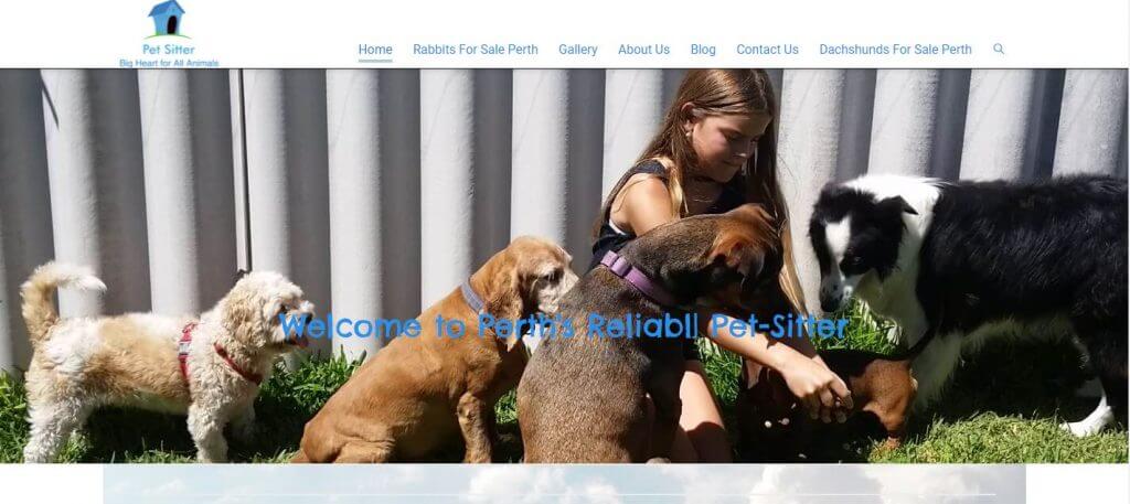Pet Sitter Business Website Design
